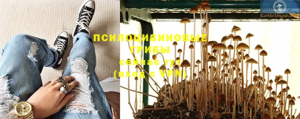 ешки Алексин