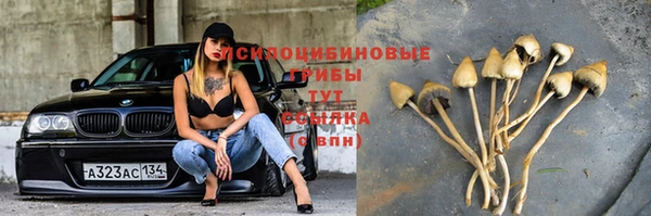 MESCALINE Алексеевка