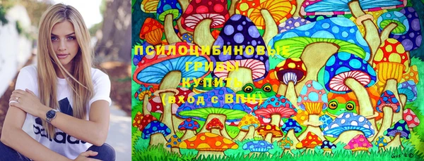 spice Алзамай