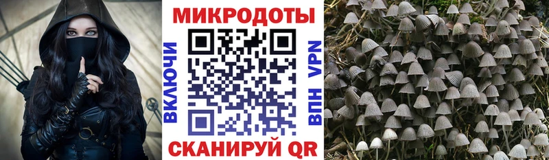Псилоцибиновые грибы Psilocybe наркота Чусовой